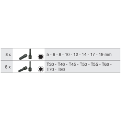 Module de douilles a chocs 1/2 16 pièces 6 pans de 5 à 19mm et Torx de 30 à 80