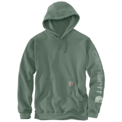 Sweat à capuche Iconic Logo Hooded vert