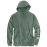 Sweat à capuche Iconic Logo Hooded vert