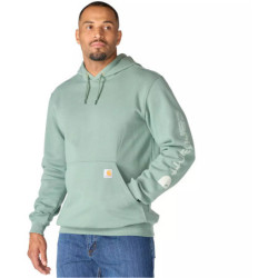 Sweat à capuche Iconic Logo Hooded vert