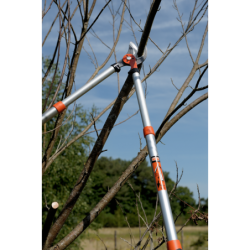 Élagueur expert PG-19-F télescopique Bahco longueur de 70 à 90 cm diamètre coupe 40mm