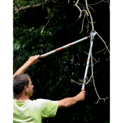 Élagueur expert PG-19-F télescopique Bahco longueur de 70 à 90 cm diamètre coupe 40mm