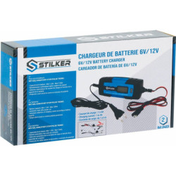 Chargeur électronique automatique 6-12V avec accessoires