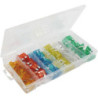 Coffret de 120 fusibles enfichables standard