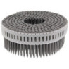 Clou cranté en rouleau Paslode pour cloueur pneumatique CNP - 2,5x50 mm - boîte de 9750