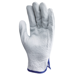 Gants de maîtrise Eurostrong 1240 en cuir fleur de buffle avec dos en croute