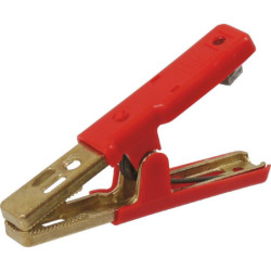 Pince bronze 250A
