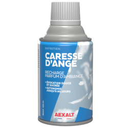 Recharge aérosol Aexalt 250ml parfum d'ambiance