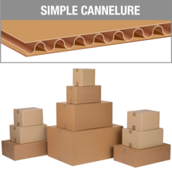 Caisse américaine simple cannelure Cenpac