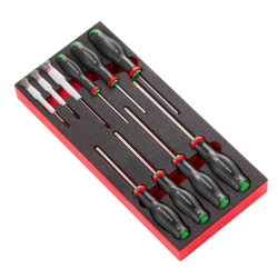 Module mousse 10 tournevis Protwist torx Facom T6 T7 T8 T10 T15 T20 T25 T27 T30 T40