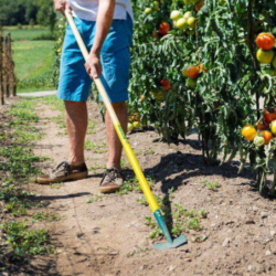 Ratissoire de jardin naturovert spécial pour les allées gravillonnées - 160 cm