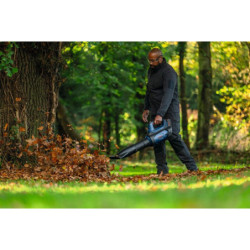 Souffleur de jardin professionel GBL 18V-800m²/H Bosch