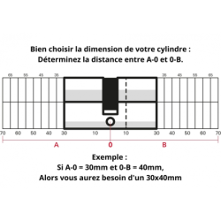 Cylindre européen double entrée laiton Thirard mécanisme 5 goupilles 30 x 40 mm - livré avec 3 clés