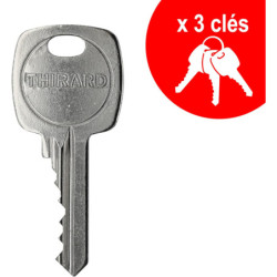 Cylindre Profilé STD 30x40 nickelé 3 clés Même Variure 32534