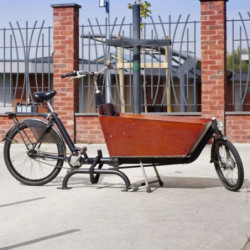 Arceau Antivol Vélo Cargo Coloris Gris anthracite M043SGR