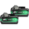 Pack 2 batteries MultiVolt 36V 2.5Ah / 18V 5Ah Li-ion BSL36A18X