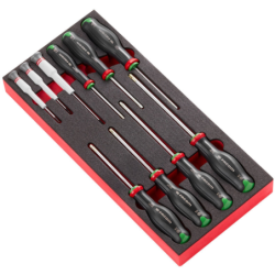 Module mousse 10 tournevis Protwist Torx Taille 1/3 Facom