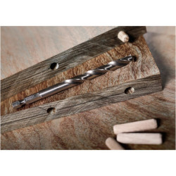 Foret hélicoïdal PRO Wood HSS