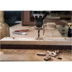 Foret hélicoïdal PRO Wood