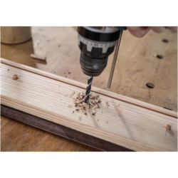 Foret hélicoïdal PRO Wood