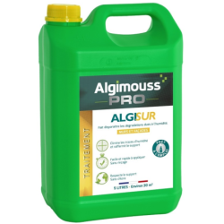 Traitement anti salpêtre Algisur mur et cloison