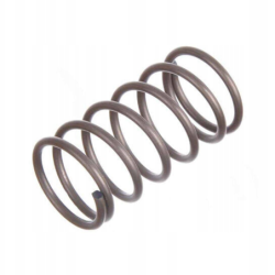 Ressort cylindrique pour nettoyeur haute pression Karcher HD 1050 B