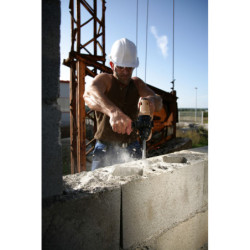 Burin compatible SDS Plus
