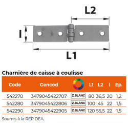 Charnière de caisse à coulisse en acier Zingué blanc