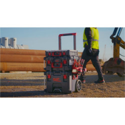 Bac latéral grand format pour caisse Packout