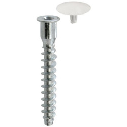 Vis d'assemblage acier zingué avec capuchon