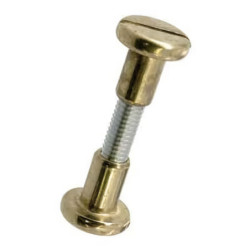 Vis d'assemblage acier laitonné 6x36/44 mm lot de 2