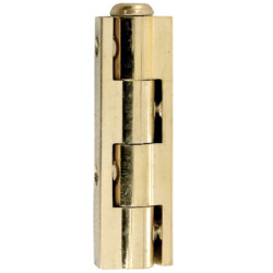 Charnière universelle laiton 50 mm lot de 2