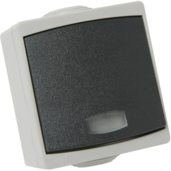 Bouton poussoir étanche avec voyant - Pose en saillie - IP54 - Courant 10A - Tension 250V - Gris