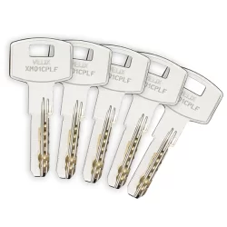 Cylindre simple européen Vachette Velix nickelé avec 5 clés - 30 x 10 mm