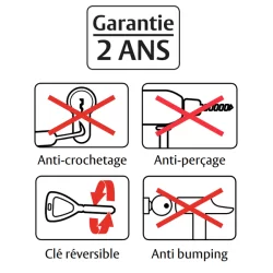 Cylindre simple européen Vachette Velix nickelé avec 5 clés - 30 x 10 mm
