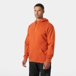 Sweat à capuche classique avec logo orange