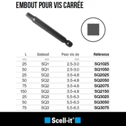 Embout pour vis empreinte carrée