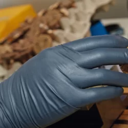 Gant nitrile noir AQL 1.5 Singer Safety à usage unique