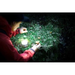 Lampe portable LED polyvalente Oli rechargeable 350 lumens - Brennenstuhl