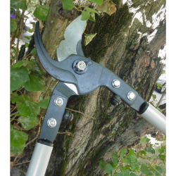 Elagueur professionnel P19 en aluminium longueur 80 cm
