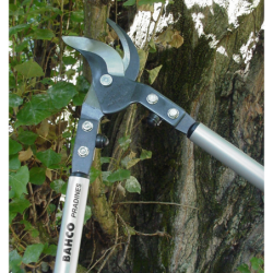 Elagueur professionnel P19 en aluminium longueur 80 cm