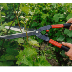 Cisaille à haie Bahco professionnelle longueur 57 cm
