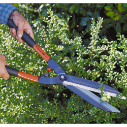 Cisaille à haie Bahco professionnelle longueur 57 cm