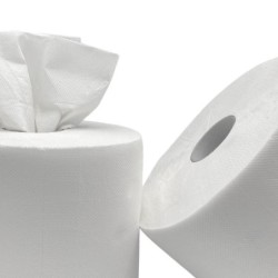 Bobine blanche ouate gauffré 2 plis T.1000 lot de 2