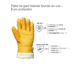 Gant fourré d'hiver cuir vachette pleine fleur Islande