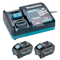 Pack 2 batteries 40 V 5 AH et chargeur