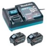 Pack 2 batteries 40 V 5 AH et chargeur