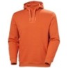 Sweat à capuche classique avec logo orange