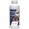 Rouillant fer pour tous métaux ferreux intérieur et extérieur Rouillaex Aexalt bidon de 1 litre