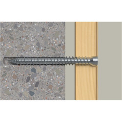 Vis béton FFSZ tête cylindrique TX30
